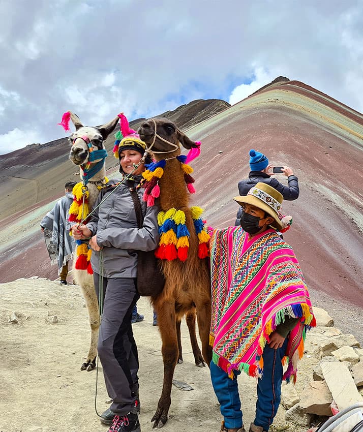 llamas in raimbow mountain