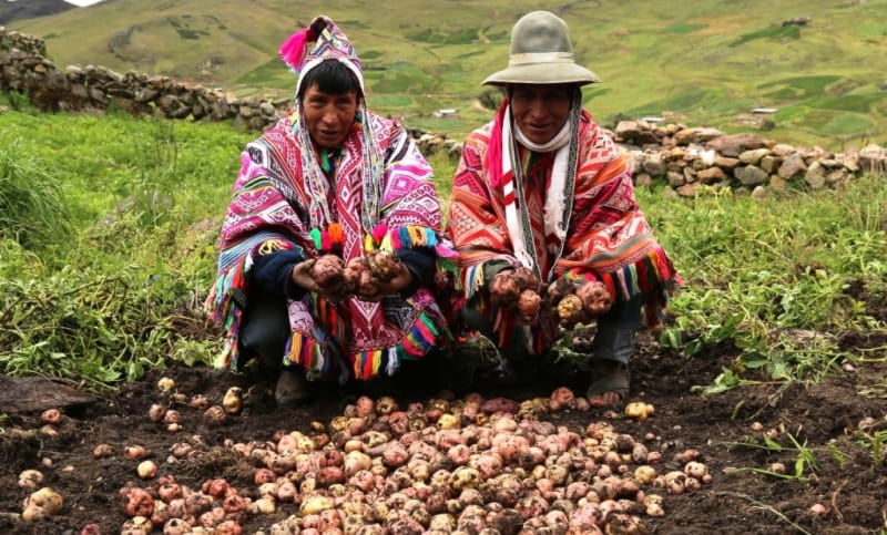 Pisac AGRICULTURE