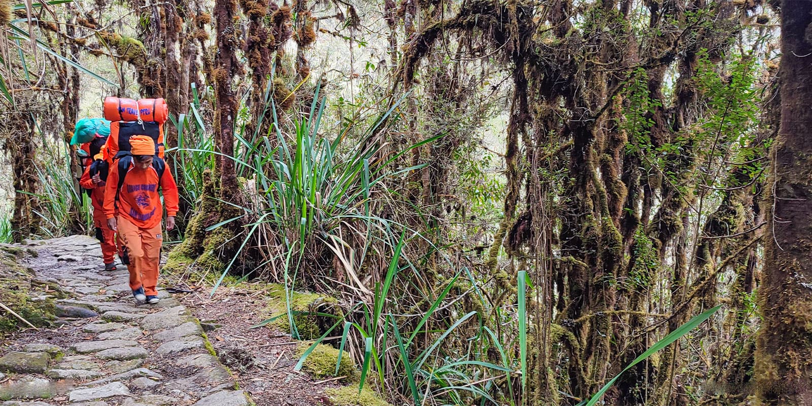 what is inca trail to machu picchu