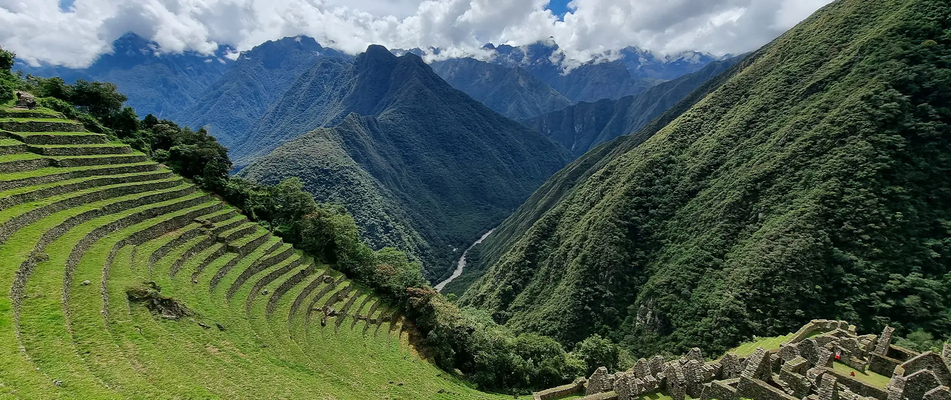 Wiñay huayna