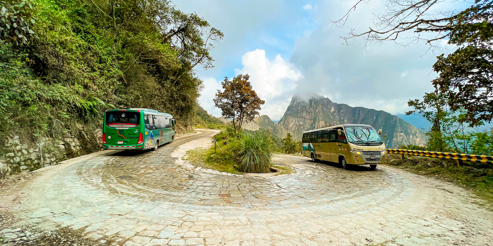 buses consettur