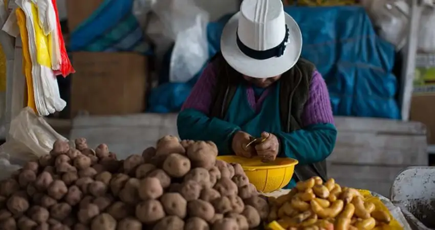 Native Potato & Superfood Tasting